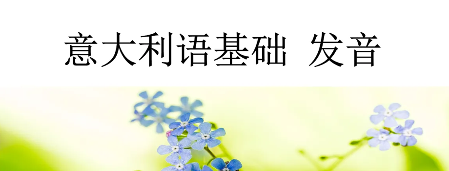 ʯ��ׯС������ѵ���������ôѧ�ȽϺ�