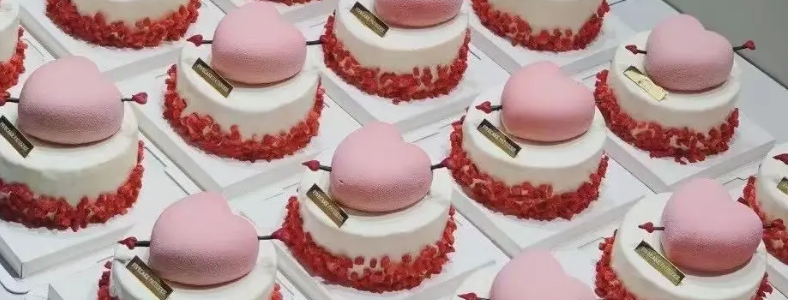 ��������ʦ��ѵѧУ