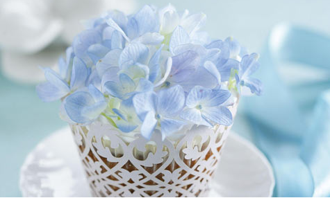 ������ĳ���������ʽ