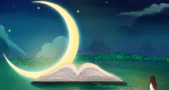 �ٶ���̻��������