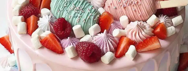 ѧ˽�������ļҺ�