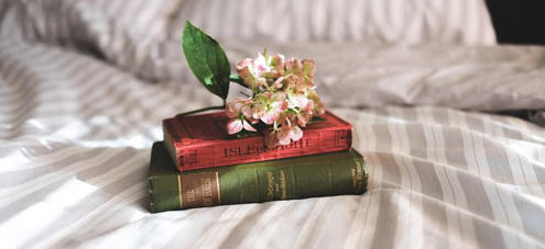 2023�꿼�й�����Ԥ�� ���ٷ��ܽ�����