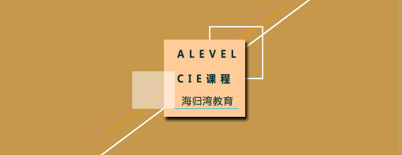 ALEVEL�γ���ѵ�γ�