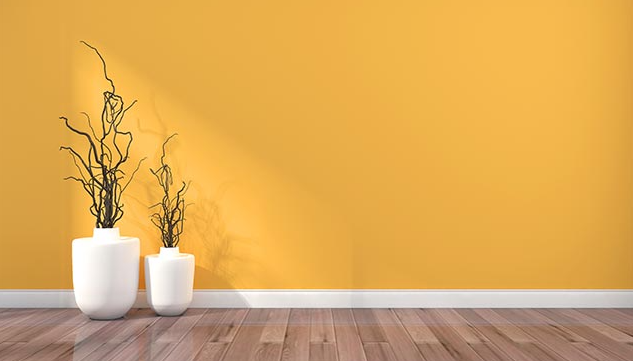 ��ɽѧƽ��������е�����������ʲô