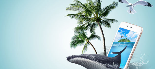 ����������ѧǩ֤��������