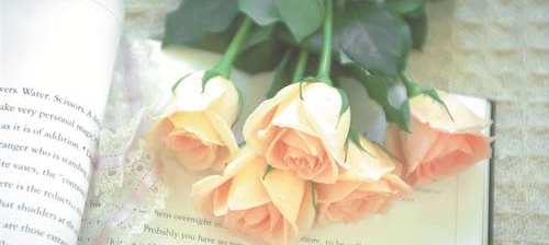 �����߿���ѵ��ѧ���Ƕ���