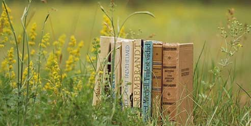 ʯ��ׯ�и��Ķ���������㶼����Щ