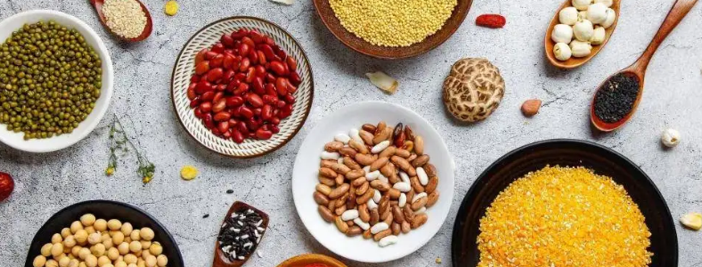 Ӫ��ʦ�ʸ�֤������