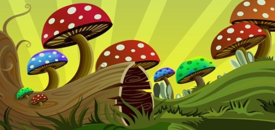 �ൺ��ѧ�����ѧ3d����