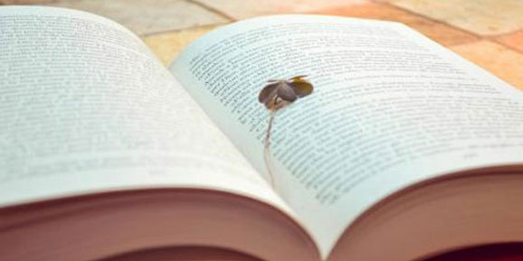 ʯ��ׯ��˼��ѵ�μ���˼����Ҫ������