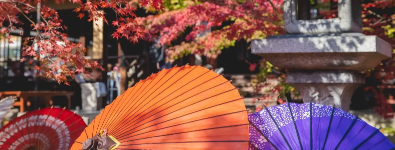 ʯ��ׯһ��һ������ѵ��۸�