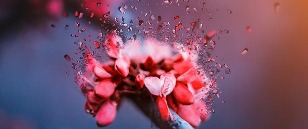 ��ɽѧƽ�����ʦ��Ҫ��ʲô����