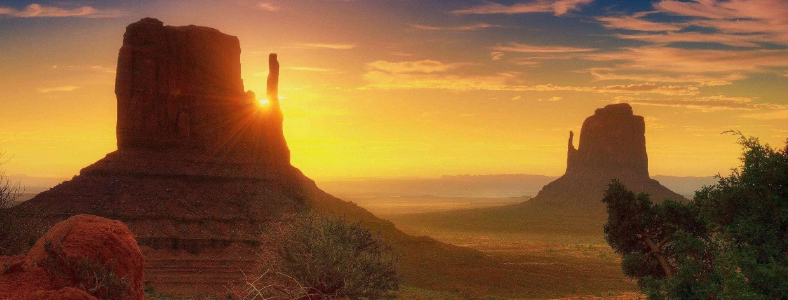 ��ɽ�Ա�������ѵ