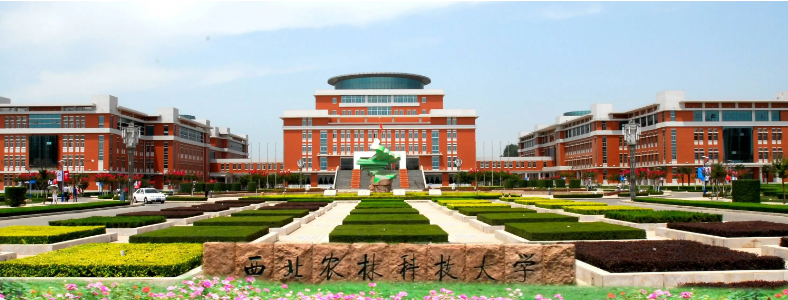 Ұ����ֲ�ﱣ�������ÿ��п�Ŀ