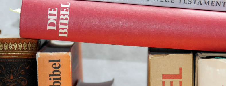 ��˼���ԵĴʻ���