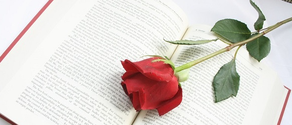 ​����������ѧ����ϰ��