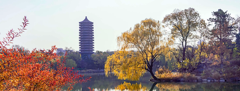 ���ܿ�ѧ�뼼������ѧУ