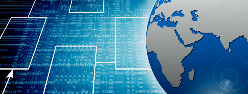 ѧ��������ά�þ�ҵ��