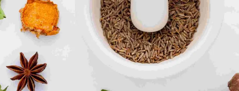 �ǽ�������ʦ�ʸ�֤