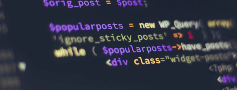 0������ôѧ�������