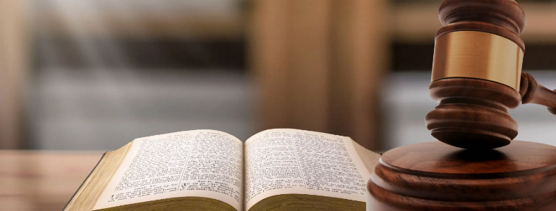 2023����ְҵ�ʸ��Ա���