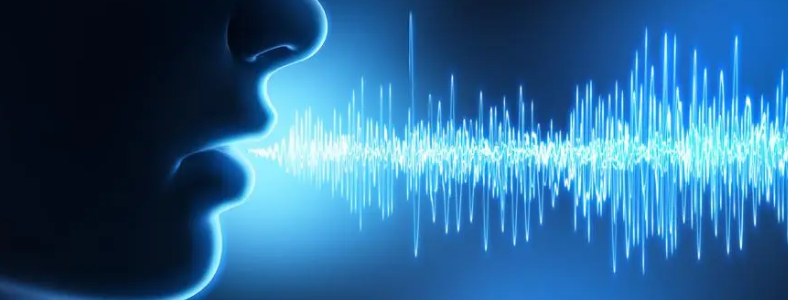 ����˵��������������