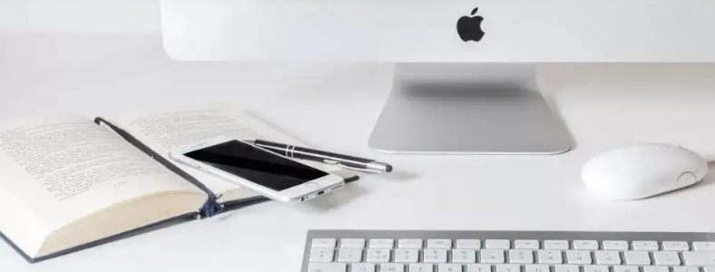 ��������2023��