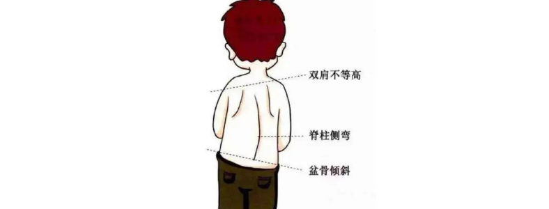 ����С����������