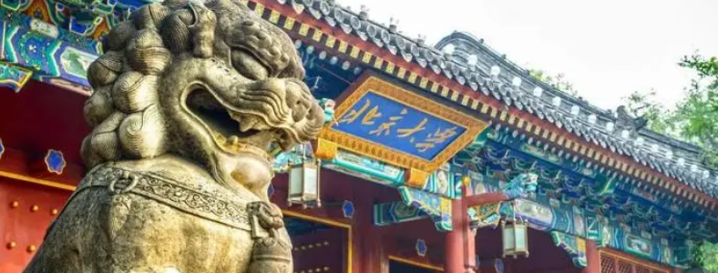 ��ѧ����ԺУ