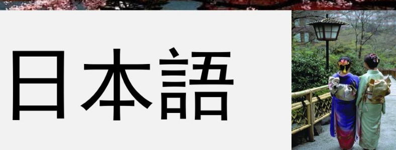 ʯ��ׯ������ѵ�۸�