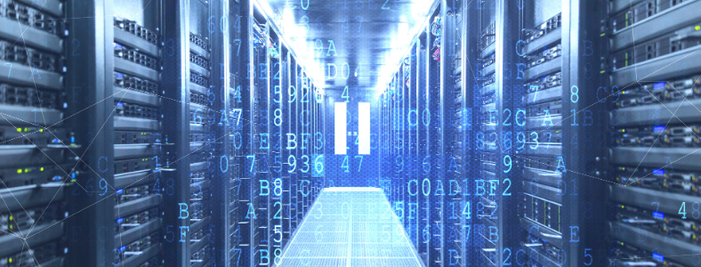 ������ά����ʦ��ǰ;��