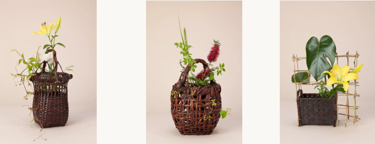 ������ѵ�γ�