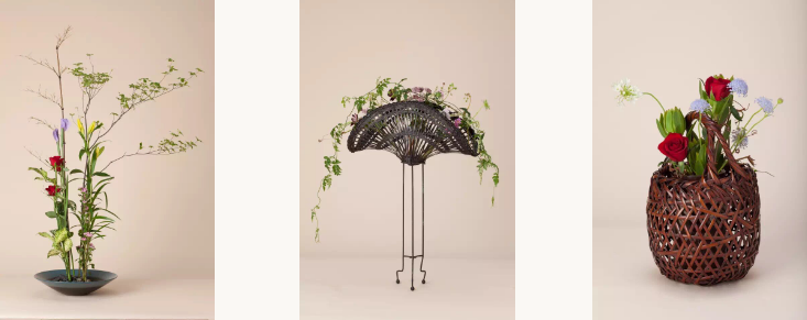 ������ѵ�γ�