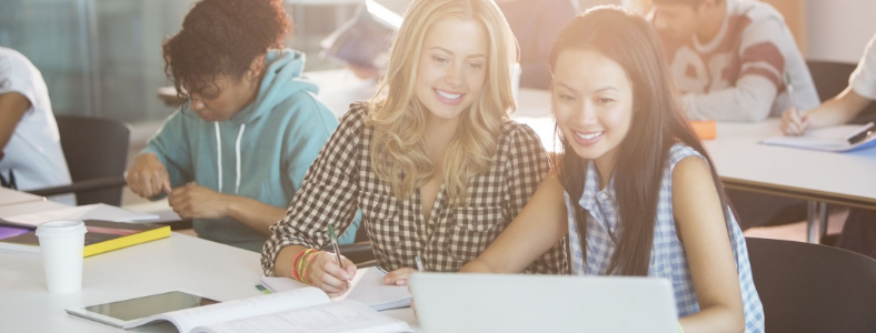 ����˼����������