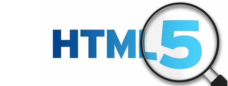 ��ɳwebǰ����ѵ��������