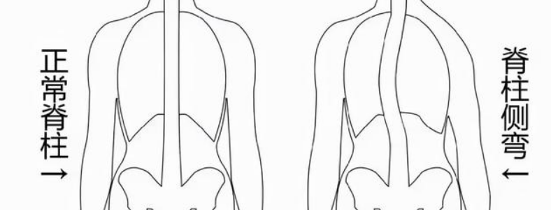 ���ټ��������Σ���ж��