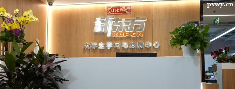 ����������ѵ�����ĸ���