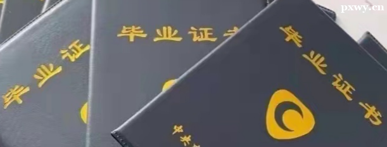 ���ʲôרҵ����