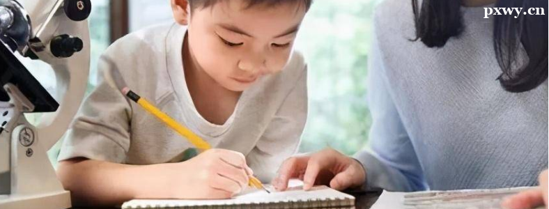 �������������������