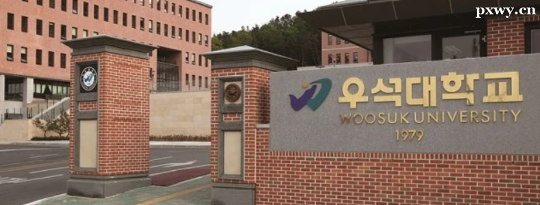 ������ʯ��ѧ��ѧ