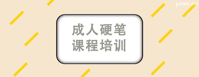 ����Ӳ�ʿγ���ѵ��