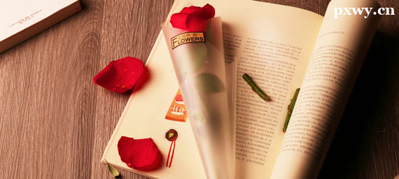 ����Ӣ��һ�������Ͷ�����Щ