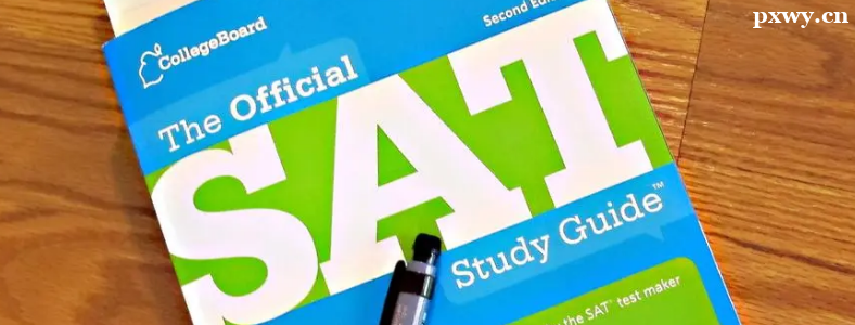 SAT�Ķ���ô���