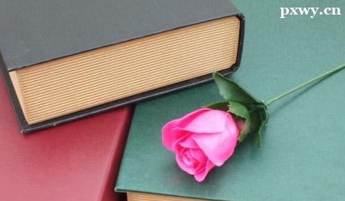 2023���о�����ѧ���Բ��ʱ��