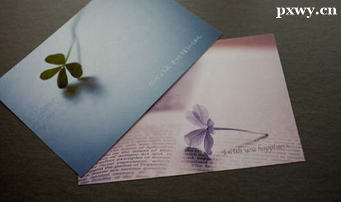 2023����ѧУ�����ܿ���985��