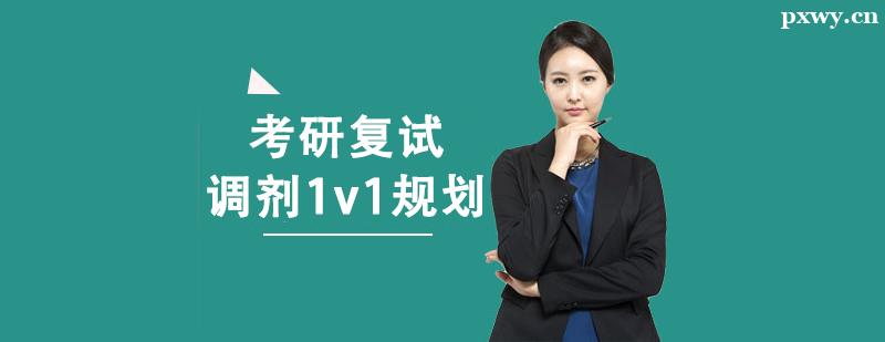 ���и��Ե���1v1�滮��