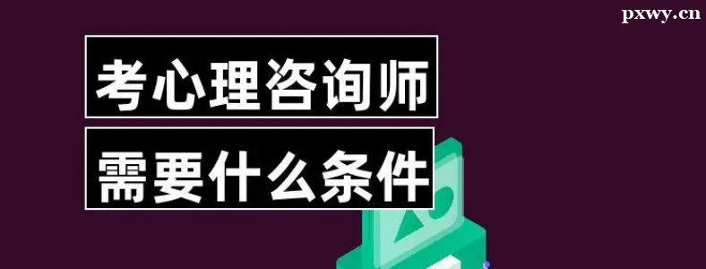 ������ѯʦ������Ҫ��Щ����