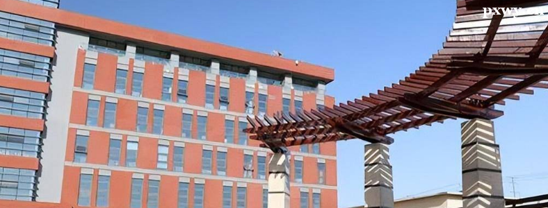 2023��ӱ��������߱仯