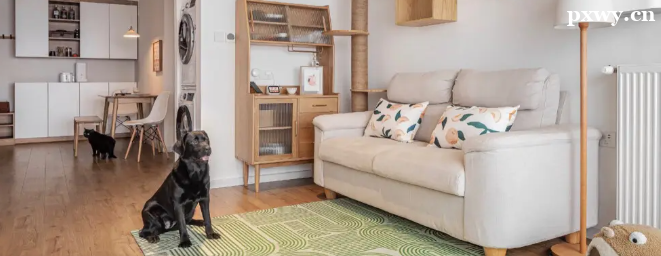 ������Ƴ�ѧ����ôѧ