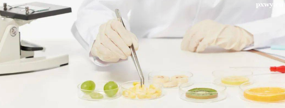 Ӫ��ʦ�����������ĸ�